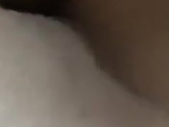 Muschi